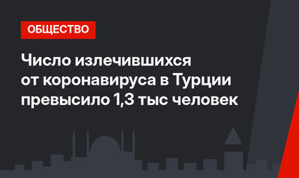 Число излечившихся от коронавируса в Турции превысило 1,3 тыс человек