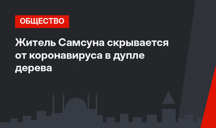 Житель Самсуна скрывается от коронавируса в дупле дерева