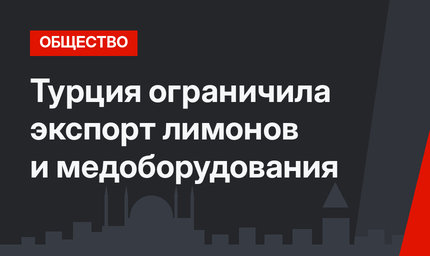 Турция ограничила экспорт лимонов и медоборудования