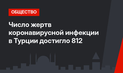 Число жертв коронавирусной инфекции в Турции достигло 812