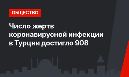 Число жертв коронавирусной инфекции в Турции достигло 908
