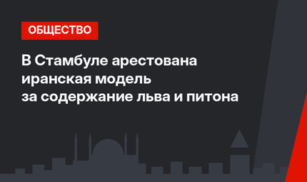 В Стамбуле арестована иранская модель за содержание льва и питона