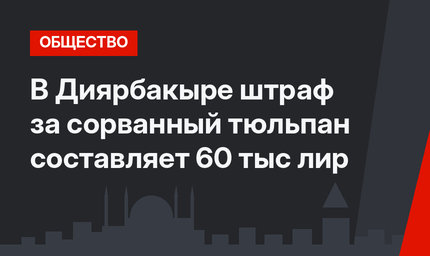 В Диярбакыре штраф за сорванный тюльпан составляет 60 тыс лир