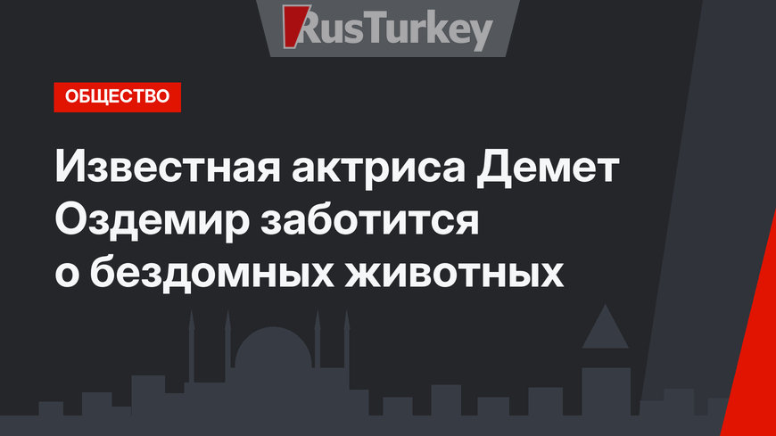 Известная актриса Демет Оздемир заботится о бездомных животных