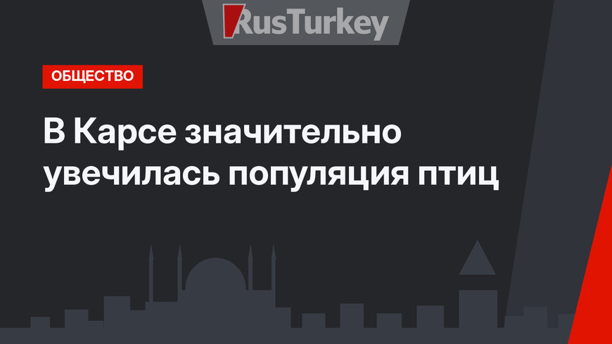 В Карсе значительно увечилась популяция птиц