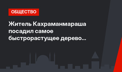 Житель Кахраманмараша посадил самое быстрорастущее дерево в мире