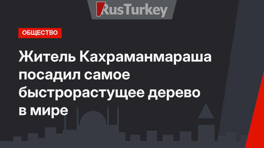 Житель Кахраманмараша посадил самое быстрорастущее дерево в мире