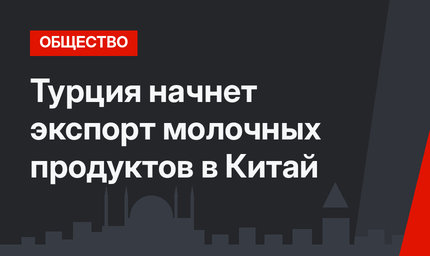 Турция начнет экспорт молочных продуктов в Китай