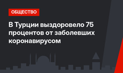 В Турции выздоровело 75 процентов от заболевших коронавирусом