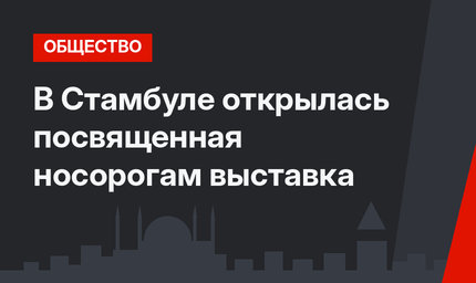 В Стамбуле открылась посвященная носорогам выставка