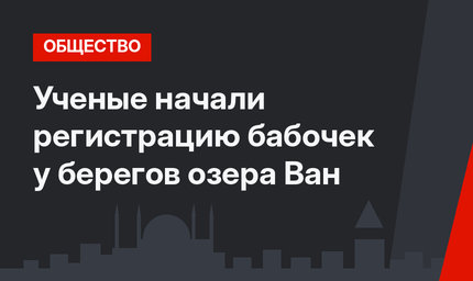 Ученые начали регистрацию бабочек у берегов озера Ван