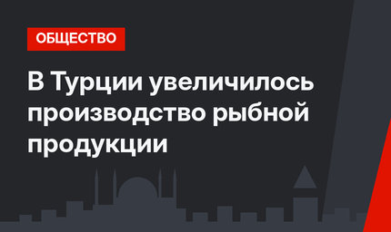 В Турции увеличилось производство рыбной продукции