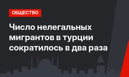 Число нелегальных мигрантов в турции сократилось в два раза