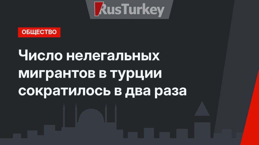 Число нелегальных мигрантов в турции сократилось в два раза