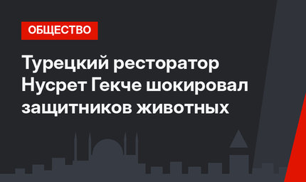 Турецкий ресторатор Нусрет Гекче шокировал защитников животных