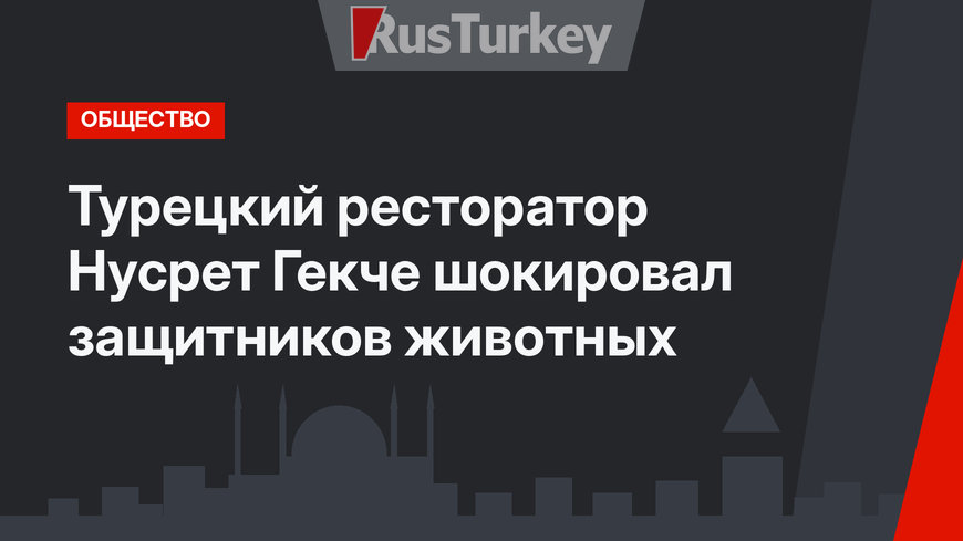 Турецкий ресторатор Нусрет Гекче шокировал защитников животных