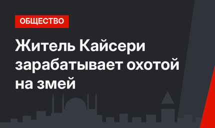 Житель Кайсери зарабатывает охотой на змей