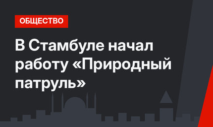 В Стамбуле начал работу «Природный патруль»