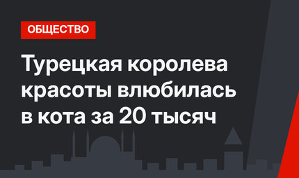 Турецкая королева красоты влюбилась в кота за 20 тысяч