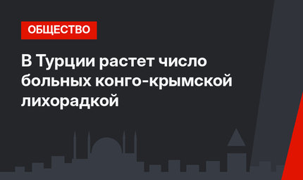 В Турции растет число больных конго-крымской лихорадкой