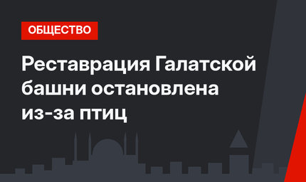 Реставрация Галатской башни остановлена из-за птиц