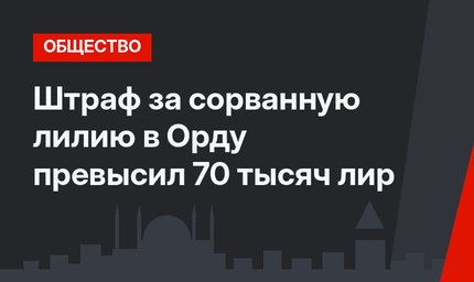 Штраф за сорванную лилию в Орду превысил 70 тысяч лир