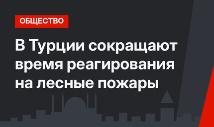 В Турции сокращают время реагирования на лесные пожары