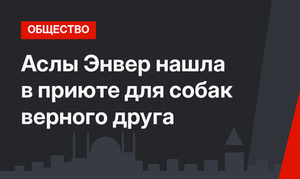 Аслы Энвер нашла в приюте для собак верного друга