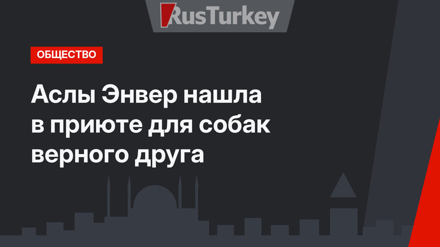Аслы Энвер нашла в приюте для собак верного друга