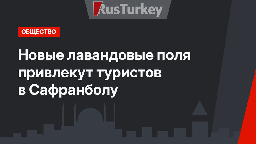 Новые лавандовые поля привлекут туристов в Сафранболу