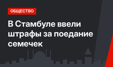 В Стамбуле ввели штрафы за поедание семечек