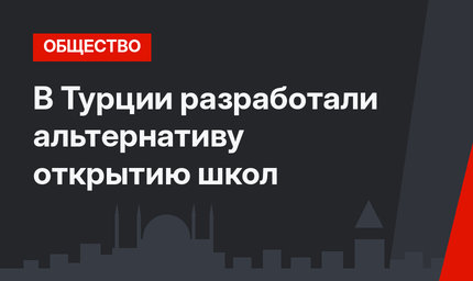 В Турции разработали альтернативу открытию школ