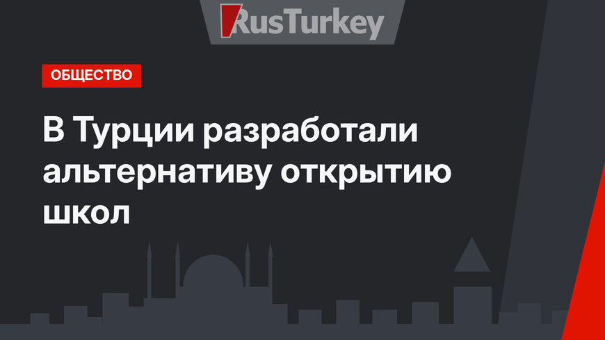 В Турции разработали альтернативу открытию школ
