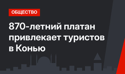 870-летний платан привлекает туристов в Конью