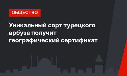 Уникальный сорт турецкого арбуза получит географический сертификат