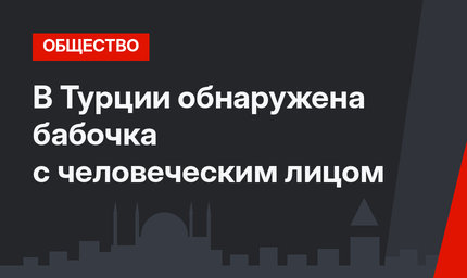 В Турции обнаружена бабочка с человеческим лицом