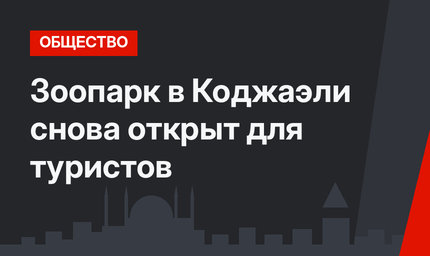 Зоопарк в Коджаэли снова открыт для туристов