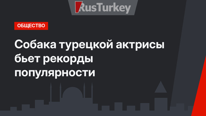 Собака турецкой актрисы бьет рекорды популярности