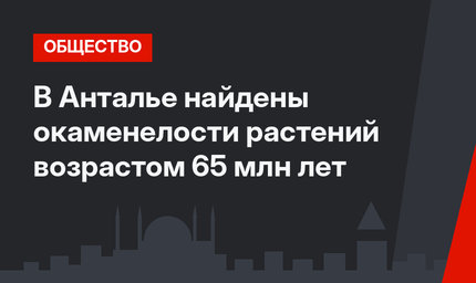 В Анталье найдены окаменелости растений возрастом 65 млн лет