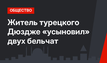 Житель турецкого Дюздже «усыновил» двух бельчат