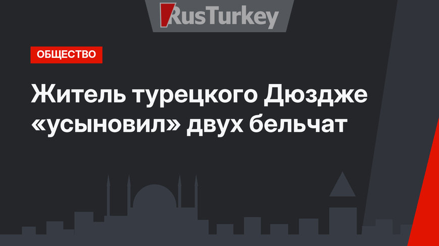 Житель турецкого Дюздже «усыновил» двух бельчат