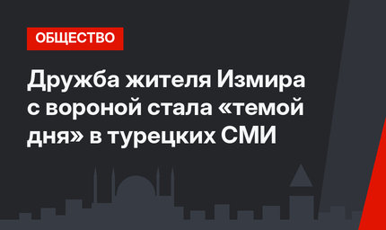 Дружба жителя Измира с вороной стала «темой дня» в турецких СМИ