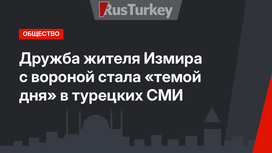 Дружба жителя Измира с вороной стала «темой дня» в турецких СМИ
