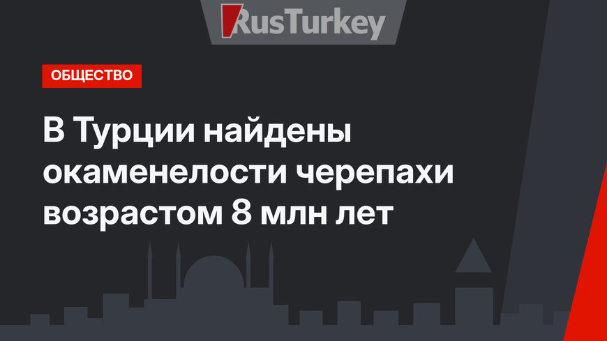 В Турции найдены окаменелости черепахи возрастом 8 млн лет