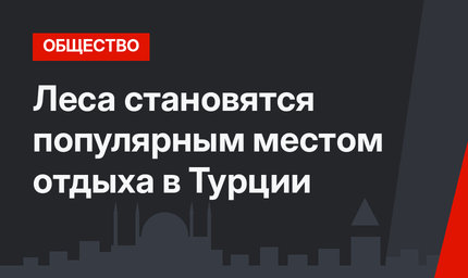 Леса становятся популярным местом отдыха в Турции