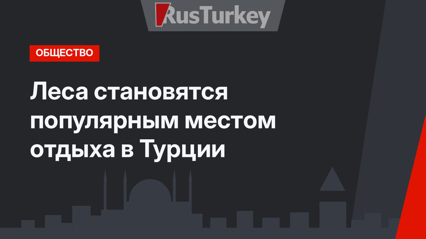 Леса становятся популярным местом отдыха в Турции