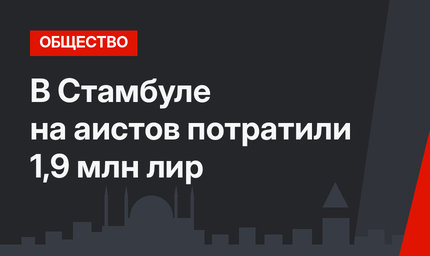 В Стамбуле на аистов потратили 1,9 млн лир