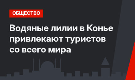 Водяные лилии в Конье привлекают туристов со всего мира