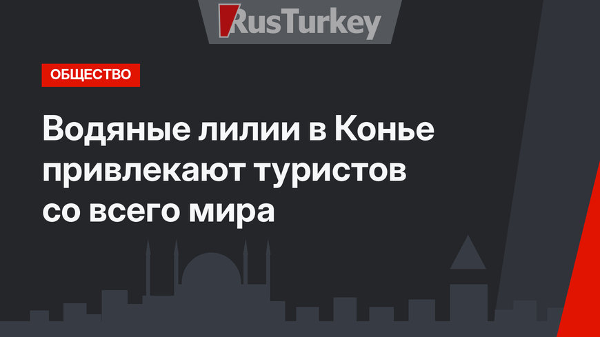 Водяные лилии в Конье привлекают туристов со всего мира