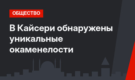 В Кайсери обнаружены уникальные окаменелости